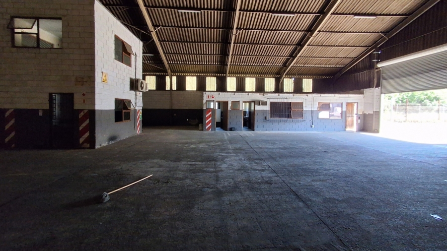 To Let Commercial Property for Rent in Wilsonia Eastern Cape